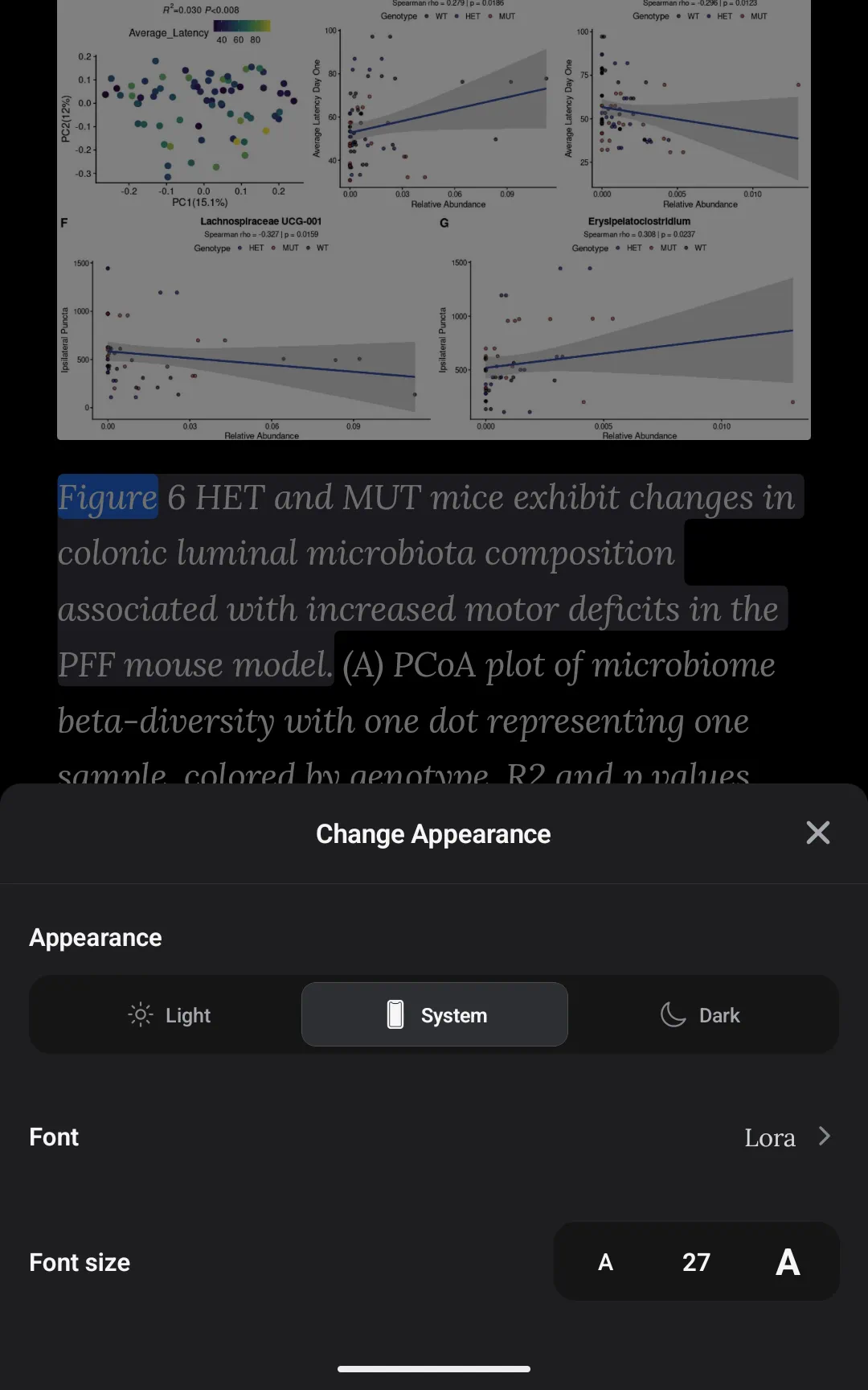 Customizing themes, text sizing, and accessibility fonts inside the mobile player appearance menu
