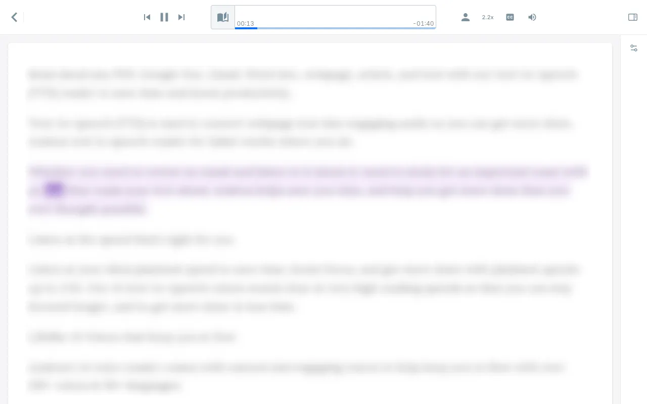 Screenshot showing the custom text editor interface in the Audeus Web Reader